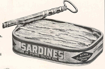 drawing of sardine can
