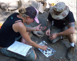 two students examining artifacts